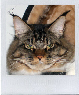 Clicca per vedere la gallery-Click to see the gallery